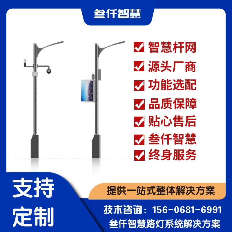 2024年一体化智慧杆数据报告：关键趋势与洞察